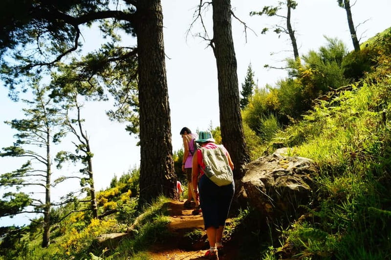 Funchal: Pico do Arieiro Sunrise Plus 2 extra Hiking Trails - Fitness, clothing, and safety