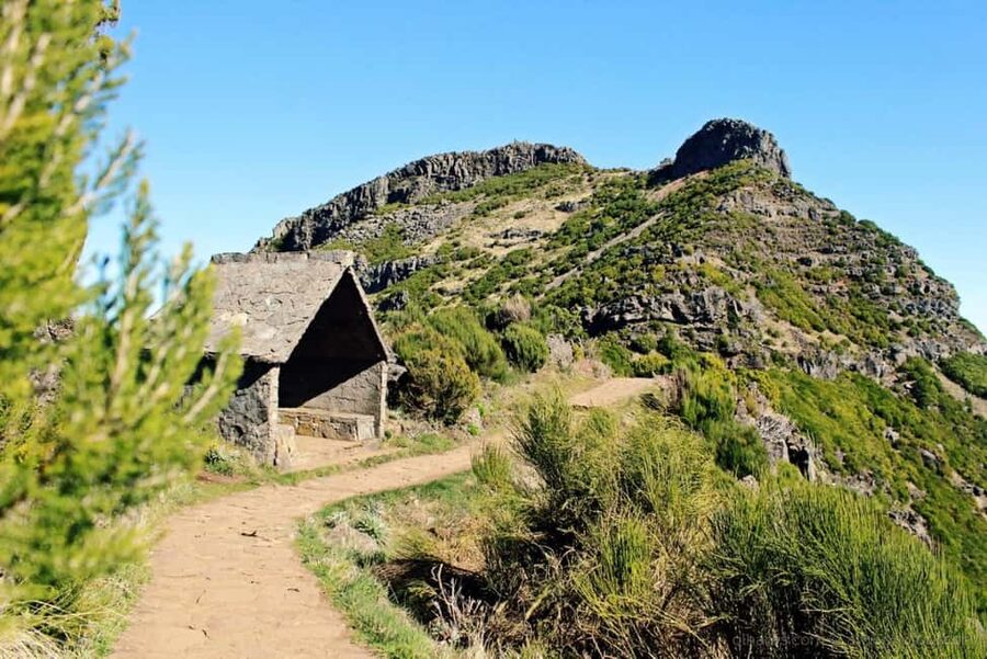 Funchal: PR1.2 Pico Ruivo & Achada Teixeira Hiking Transfer - Reaching Madeira’s highest summit
