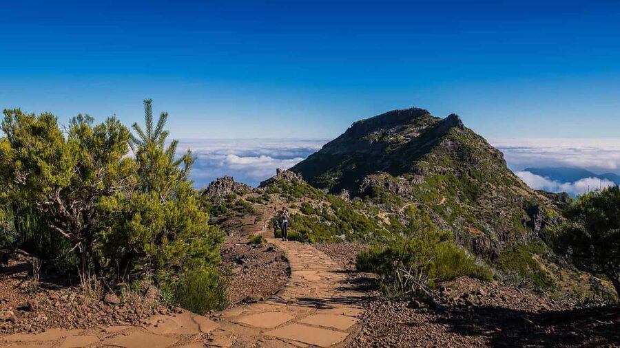 Funchal: PR1.2 Pico Ruivo & Achada Teixeira Hiking Transfer - Pickup from Funchal and the nearby towns