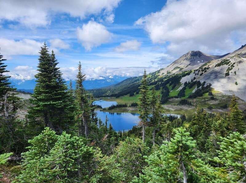 Garibaldi Park/ Panorama Ridge/ Hiking Day Trip - Summer flowers and open mountain views