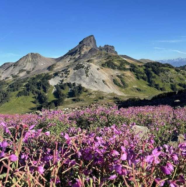 Garibaldi Park/ Panorama Ridge/ Hiking Day Trip - Whistler adds a second stop to the day