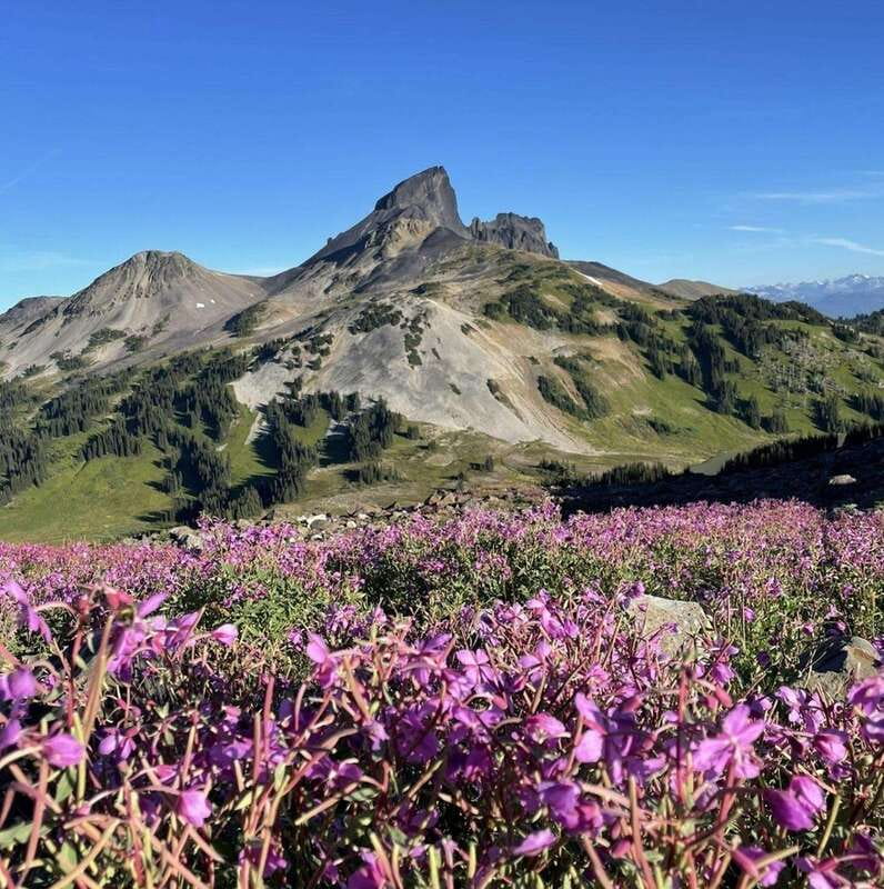 Garibaldi Park/ Panorama Ridge/ Hiking Day Trip - Who should book this hike