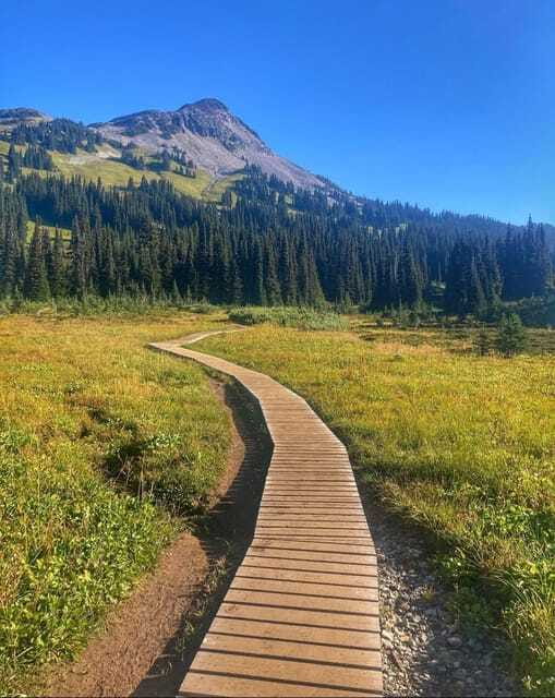 Garibaldi Park/ Panorama Ridge/ Hiking Day Trip - Booking details that matter