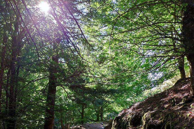 Gastro hike (Private Tour) - Choosing between 3.5 and 5.5 kilometers