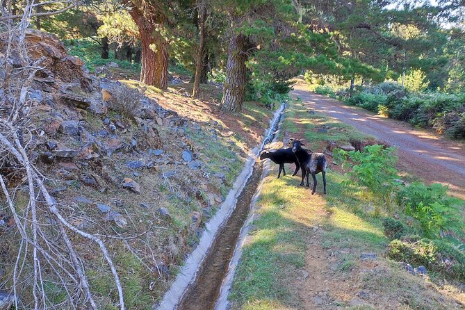 Gastro hike (Private Tour) - Is $96.12 per person good value?