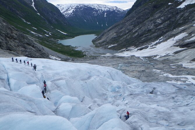 Glacier Hiking and Kayaking Tour on Nigardsbreen Glacier - The guide team makes the difference