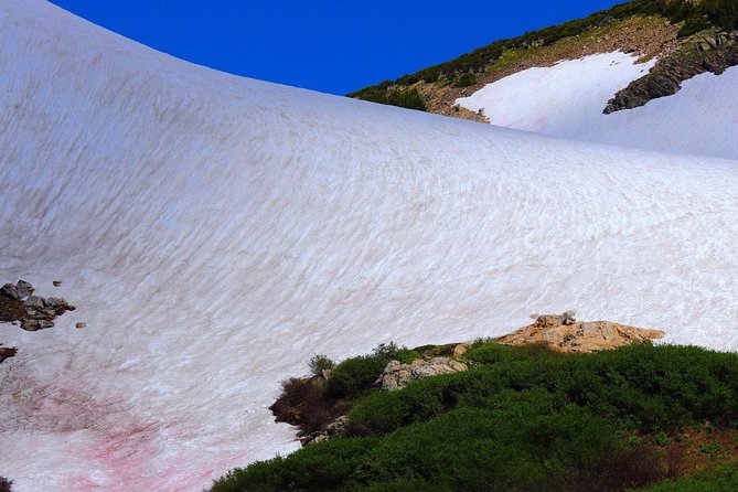 Glacier Hiking & Geothermal Cave Pools Tour - The Altitude Is the One Serious Consideration