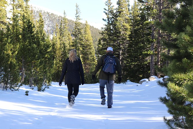 Glacier Hiking & Geothermal Cave Pools Tour - Which Guide Style Suits This Experience?