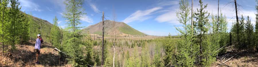 Glacier National Park: Morning Nature Walk - Key points at a glance