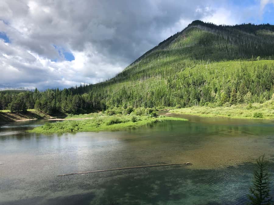 Glacier National Park: Morning Nature Walk - Scenic van stops at McGee Meadows and McDonald Creek