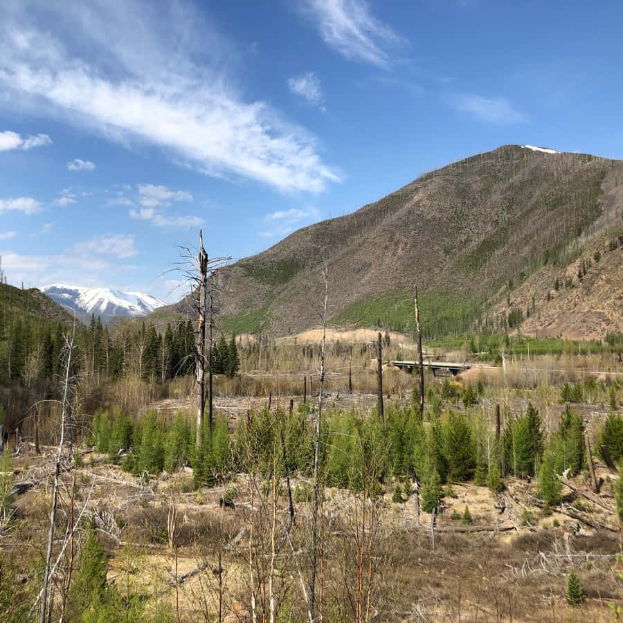 Glacier National Park: Morning Nature Walk - Is $65 a fair price?