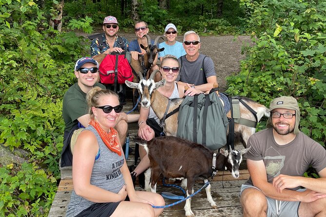 Goat Hiking, Beaver Dam Visit and picnic in Quebec forest - Reading tracks, feathers, and bear marks