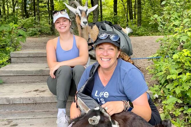 Goat Hiking, Beaver Dam Visit and picnic in Quebec forest - A picnic built around goat cheese