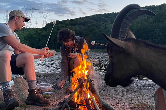 Goat Hiking, Beaver Dam Visit and picnic in Quebec forest - What to wear and bring