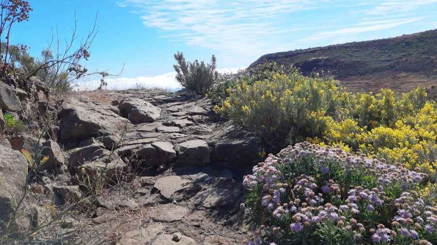 Gran Canaria: Full-Day Guided Hiking With Snacks - Why the changing route is the point