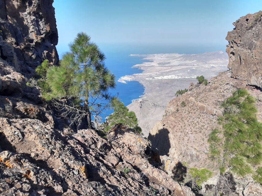 Gran Canaria: Full-Day Guided Hiking With Snacks - A guide who shapes the day