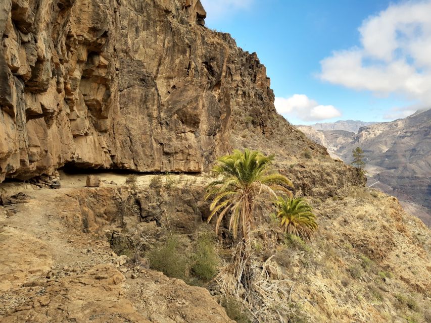Gran Canaria: Full-Day Guided Hiking With Snacks - Booking details that can save you trouble
