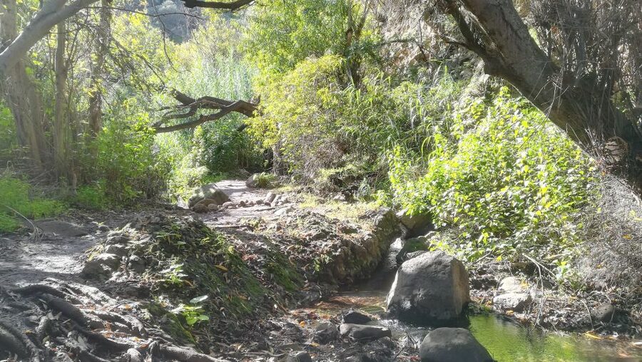 Gran Canaria: "Magic Waterfalls" Hiking Tour - A greener side of Gran Canaria