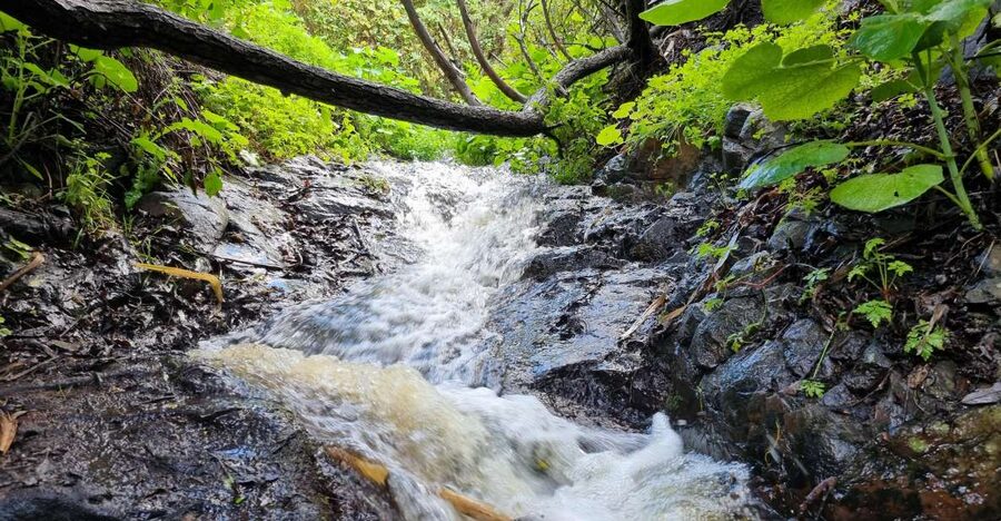 Gran Canaria: "Magic Waterfalls" Hiking Tour - Waterfalls, plants, and changing views