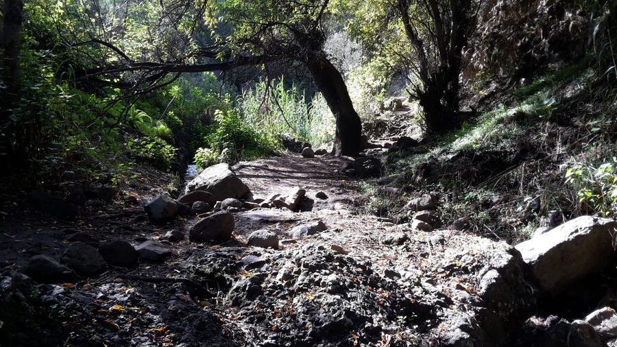 Gran Canaria: "Magic Waterfalls" Hiking Tour - The minibus ride and pickup details