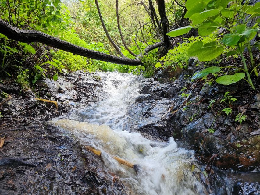 Gran Canaria: "Magic Waterfalls" Hiking Tour - A local bar lunch after the hike