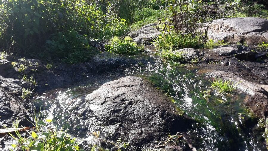 Gran Canaria: "Magic Waterfalls" Hiking Tour - Four hours on a rocky mountain path