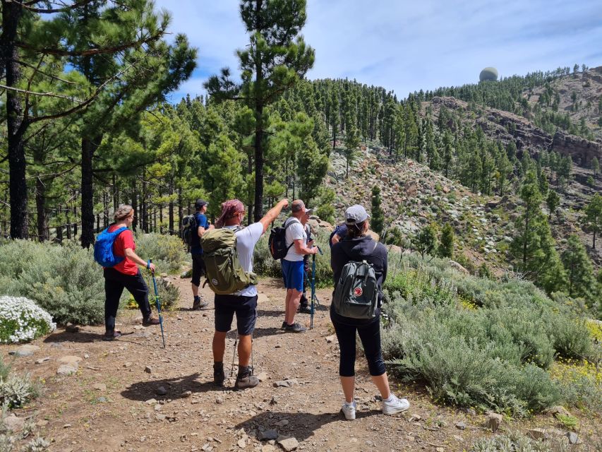 Gran Canaria: "Peaks of Gran Canaria" Hiking Tour - Why Gran Canaria’s peaks are worth a day away from the coast