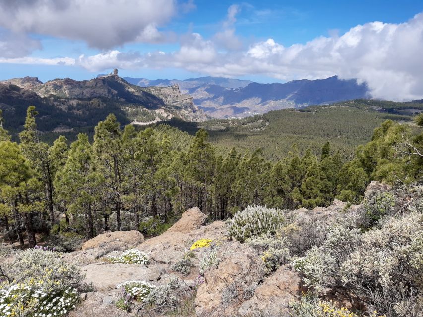Gran Canaria: "Peaks of Gran Canaria" Hiking Tour - High viewpoints, Canary pine, and Roque Nublo