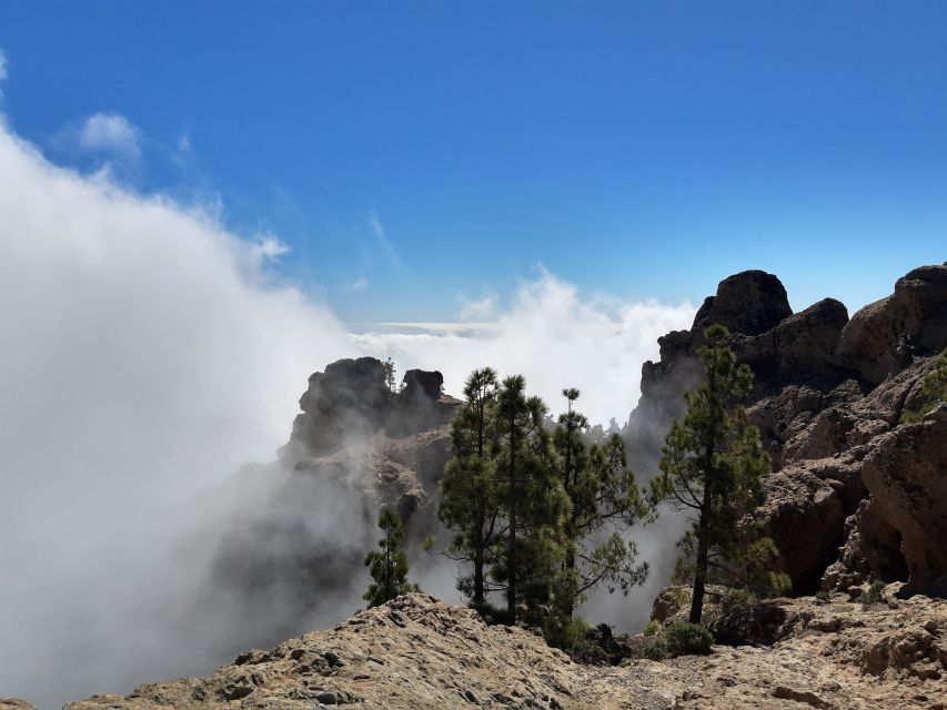Gran Canaria: "Peaks of Gran Canaria" Hiking Tour - Is $82 a fair price?