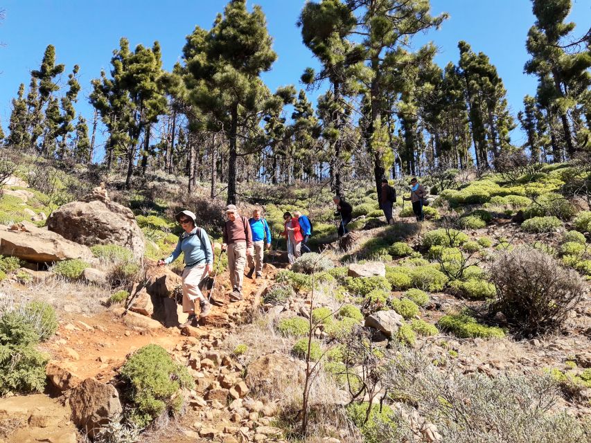 Gran Canaria: "Peaks of Gran Canaria" Hiking Tour - Who should book this hike?