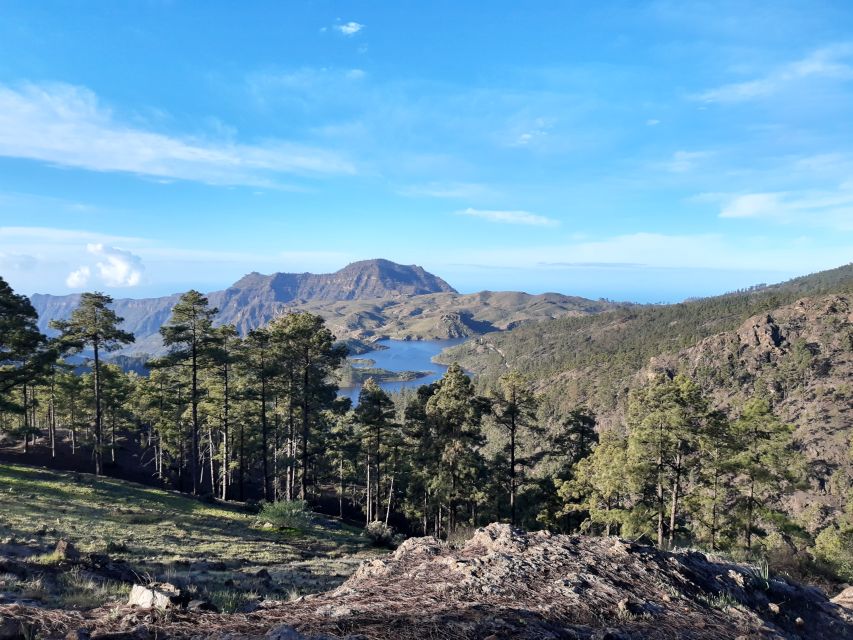 Gran Canaria: "Peaks of Gran Canaria" Hiking Tour - A 9-hour mountain day from the southern resorts