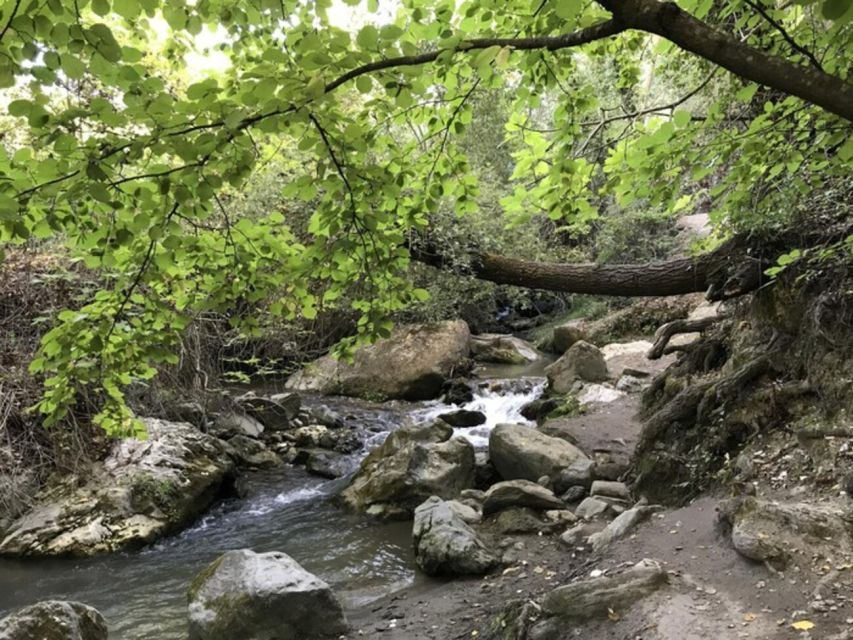 Granada: Guided Day Hike in Los Cahorros de Monachil - Why Los Cahorros makes a good half-day from Granada
