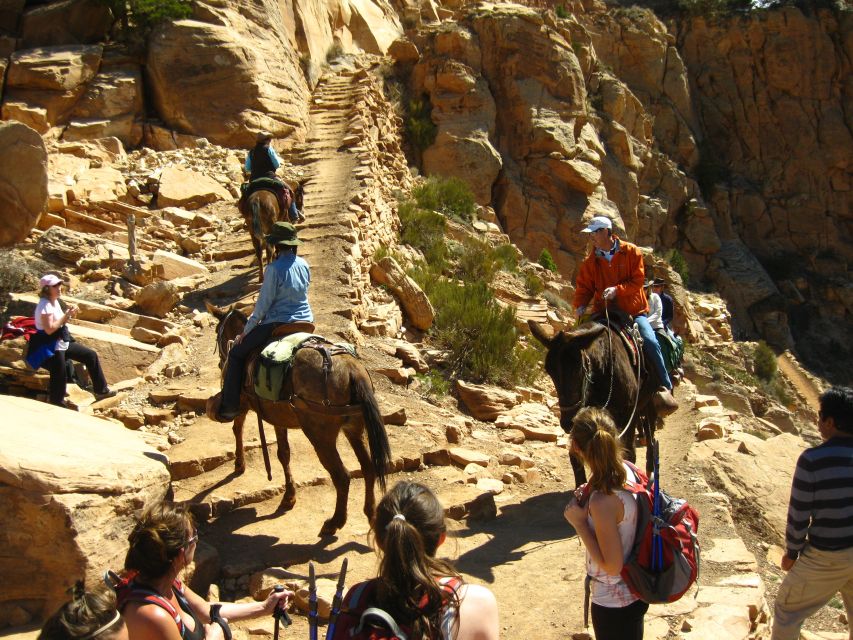 Grand Canyon Full-Day Hike from Sedona or Flagstaff - Hiking 1.5 miles into the canyon