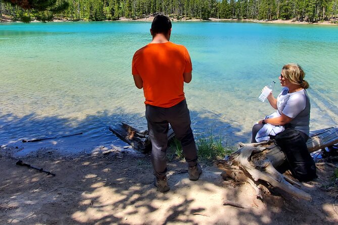 Grand Canyon of the Yellowstone Rim and Loop Hike with Lunch - Hayden Valley and wildlife from a distance