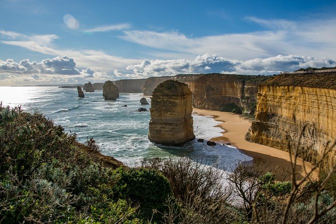 Great Ocean Road 12 Apostles & Rainforest Walk with Morning Tea - Why this full-day road trip works