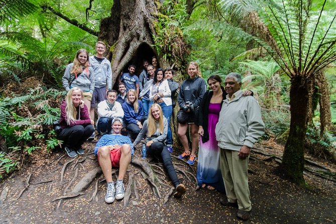 Great Ocean Road 12 Apostles & Rainforest Walk with Morning Tea - Apollo Bay: lunch, shops, and a useful pause