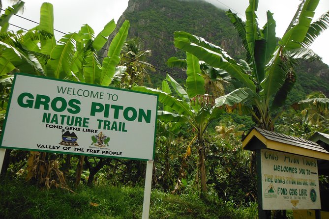 Gros Piton Hike with Dannyboy & Co. - The views are the payoff