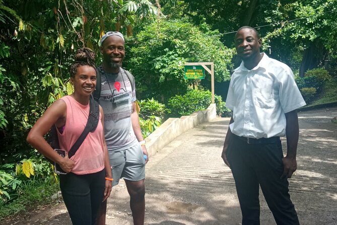 Gros Piton Nature Trail Private Hike - What the private guide adds to the climb