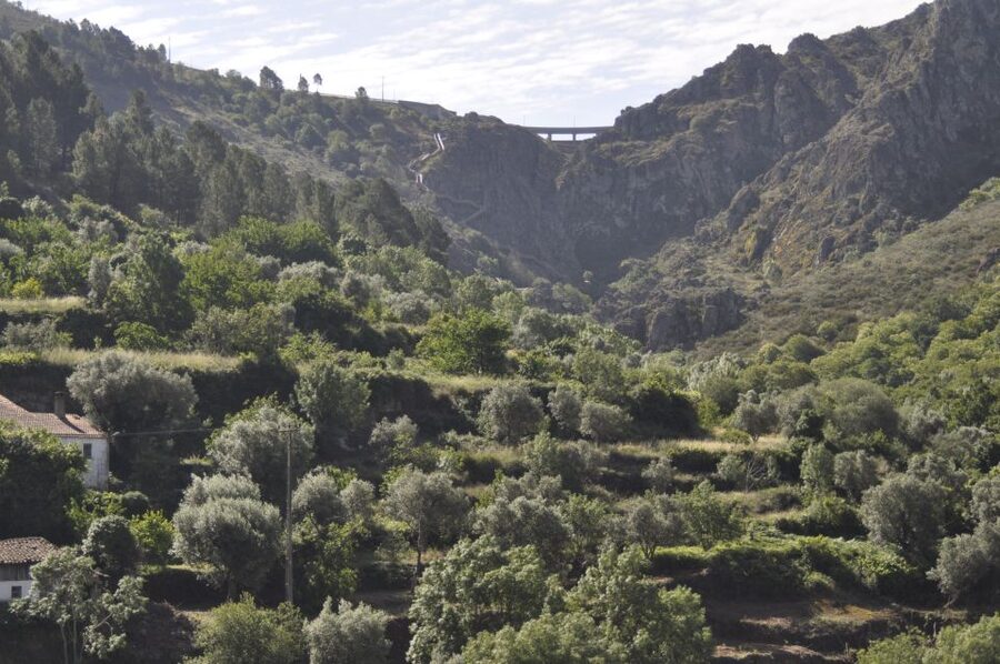 Guarda – nature walk: Tales on the Mondego Walkways - Black gold, mining remains, and a local snack