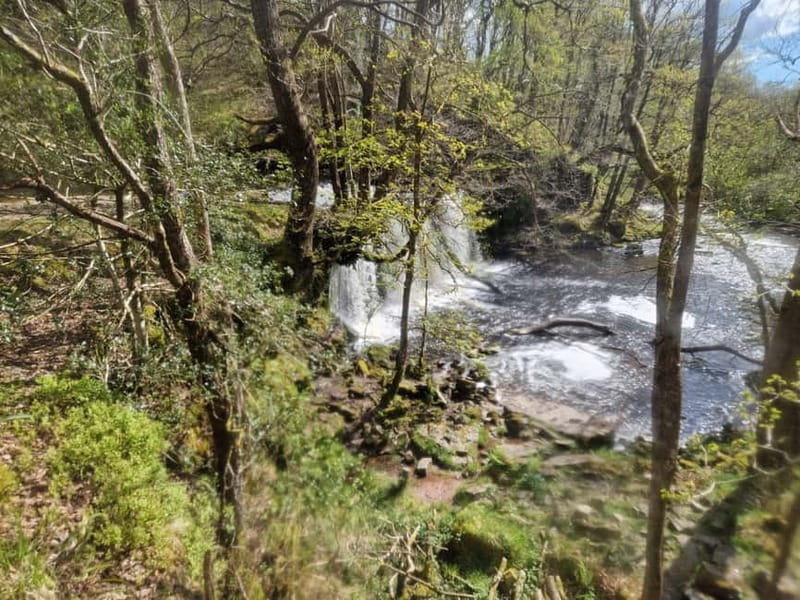 Guided Breacon Beacons 4 waterfalls in day hike from Cardiff - Why Waterfall Country makes a fine day from Cardiff