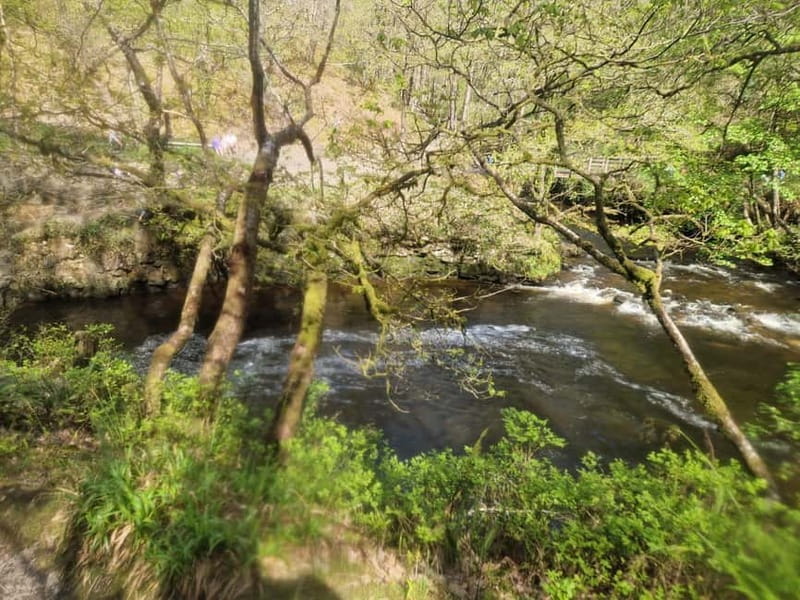 Guided Breacon Beacons 4 waterfalls in day hike from Cardiff - The Sgwd Gwladys and Craig Gwladys sections
