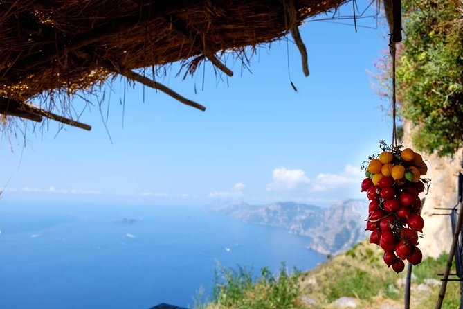Guided Day Hike on the Path of the Gods with Sorrento Transfer - Key points to know before you book