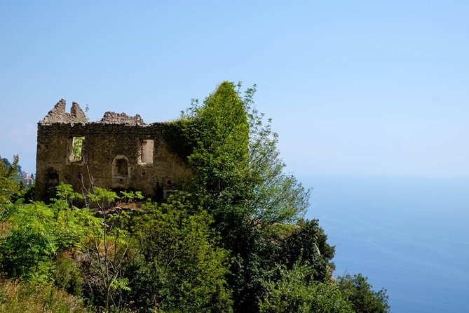 Guided Day Hike on the Path of the Gods with Sorrento Transfer - Guides who add more than directions