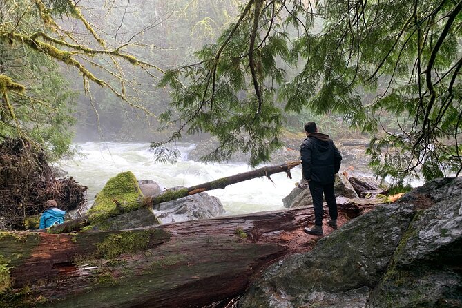 Guided forest hike to Seattle waterfalls incl. Snoqualmie Falls - Why this Seattle waterfall trip works so well