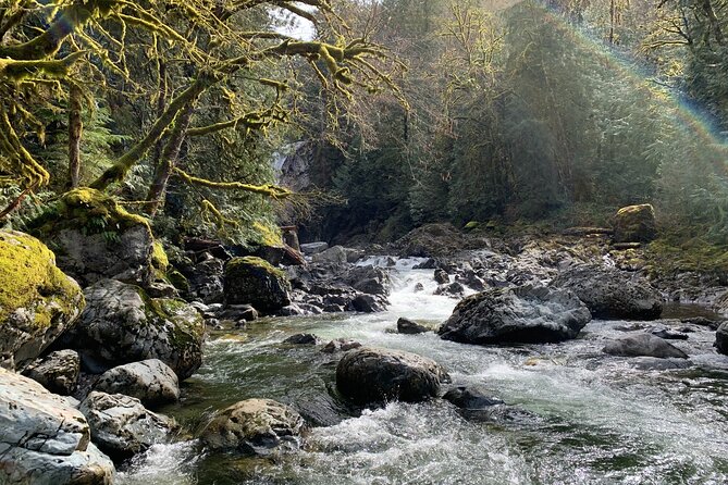 Guided forest hike to Seattle waterfalls incl. Snoqualmie Falls - North Bend and Snoqualmie add character