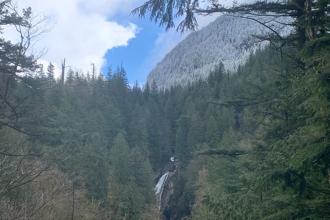 Guided forest hike to Seattle waterfalls incl. Snoqualmie Falls - Is $79 a fair price?