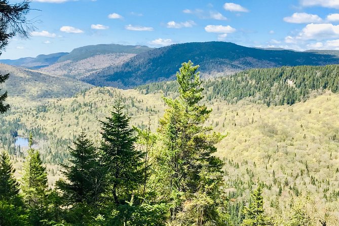 Guided Hike in Jacques-Cartier National Park - The afternoon gap is part of the deal