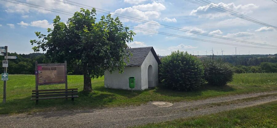 Guided hike on the "Hasenkammer" dream loop - From Herschwiesen orchards to a real hiking route