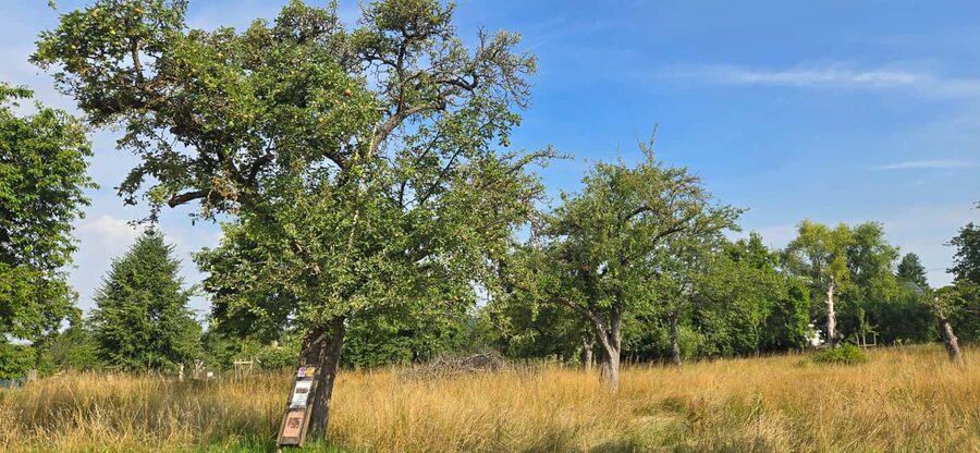 Guided hike on the "Hasenkammer" dream loop - A quarry, a wooded valley, and changing scenery
