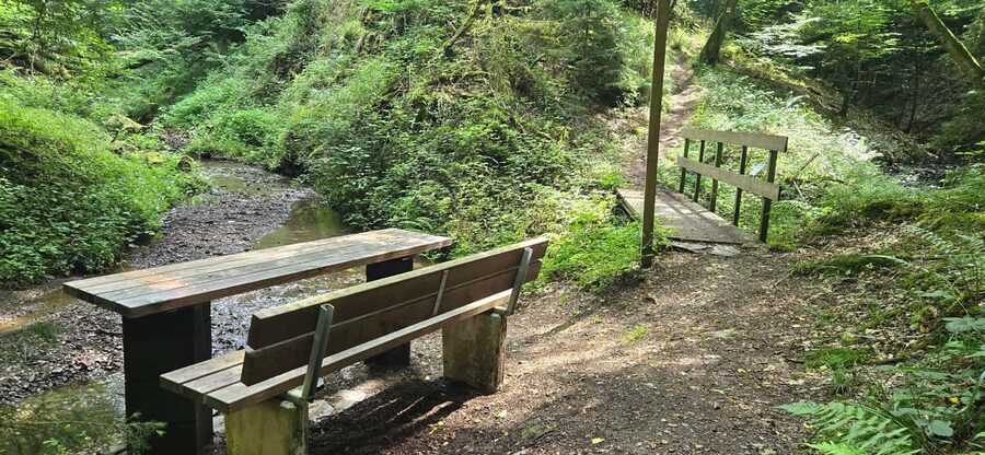 Guided hike on the "Hasenkammer" dream loop - Peter’s guiding style and the language question